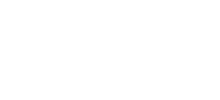 logo white wide 768x352