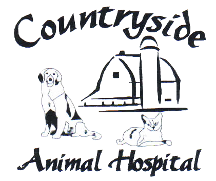 countryside animal hospital veterinarian in saint cloud fl