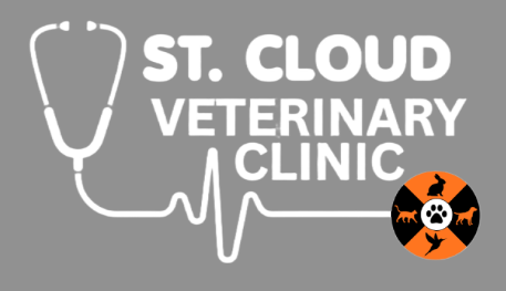 stcloudvet