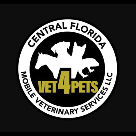 vet4pets